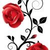 rose
